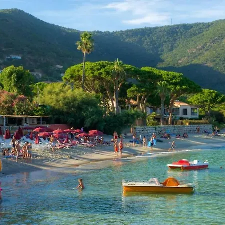 Apartment La Pinede Rez De Jardin Acces Direct Plage Piscine Le Lavandou